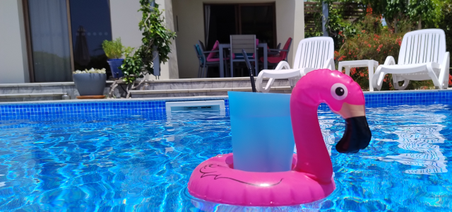 Our Lovely New Pool and Garden Just floating around