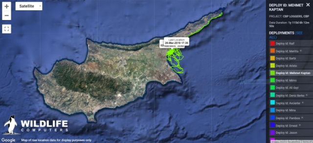 Mehmet turtle tracking