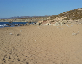 Protective-cages-over-nests-on-Lara-turtle-beach_