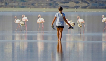 Wading towards flamingos_